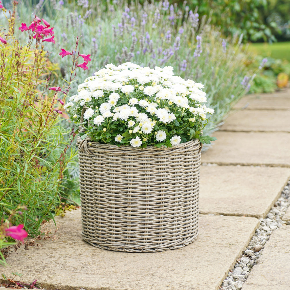 Polyrattan Set of Two Lined Planters-Beaumonde