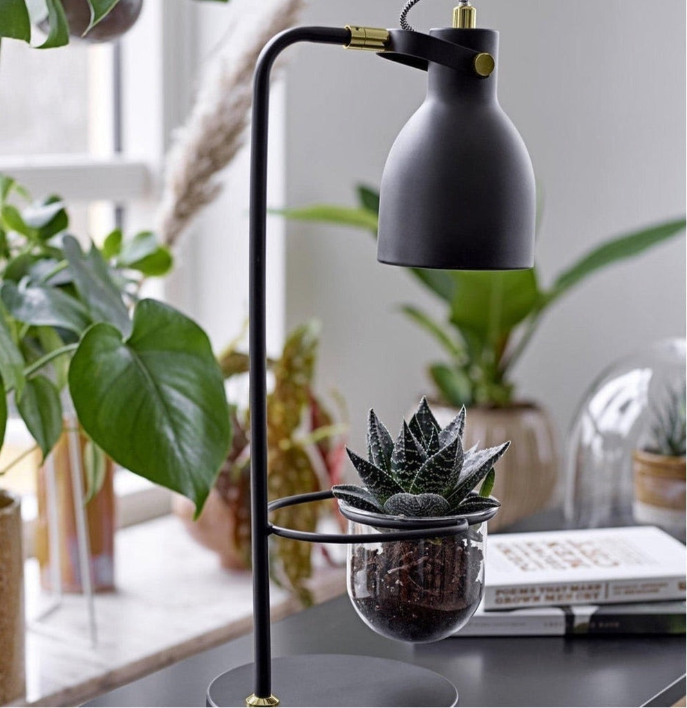 Flora Black Lamp And Plant Pot-Bloomingville-Beaumonde