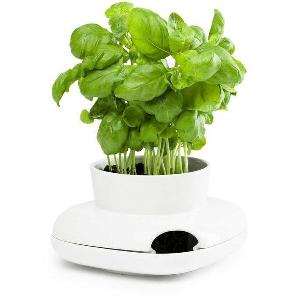 Sagaform Small Herb Pot-Beaumonde