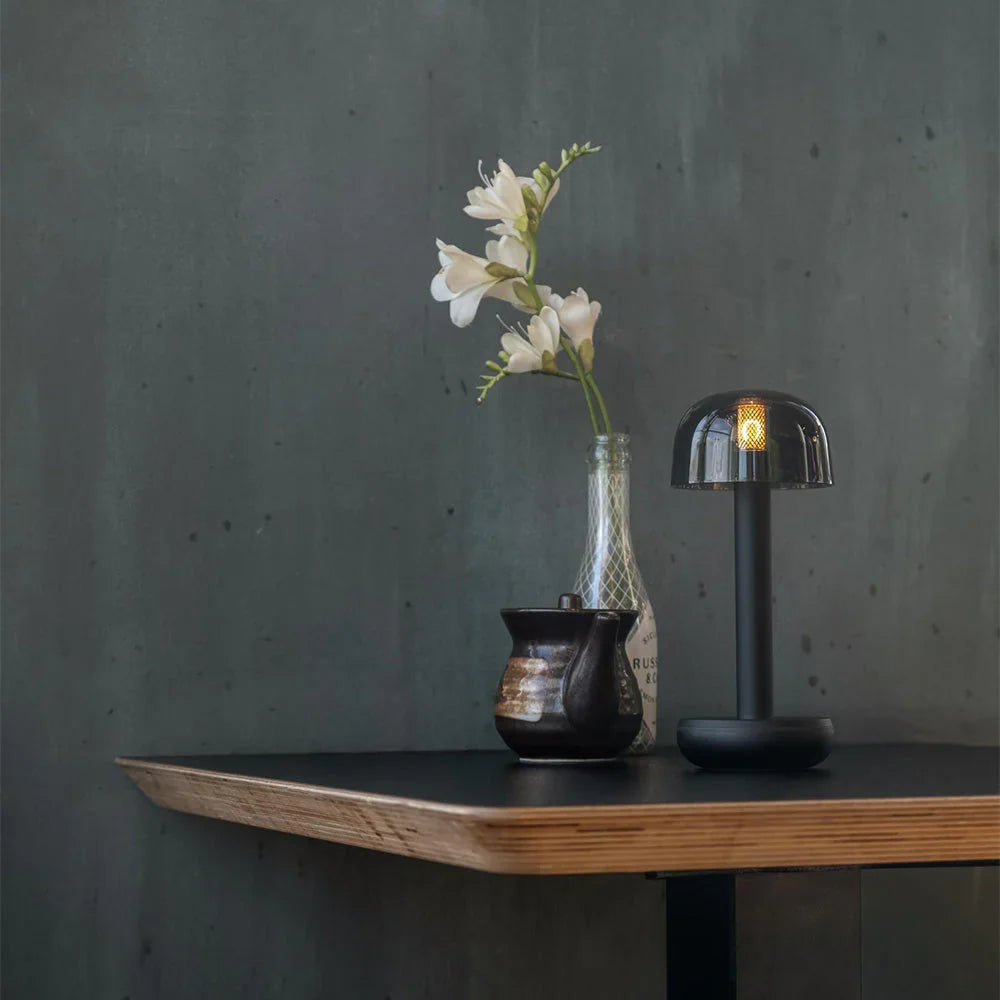 Your First Time Using a Humble Lamp: What You Need to Know