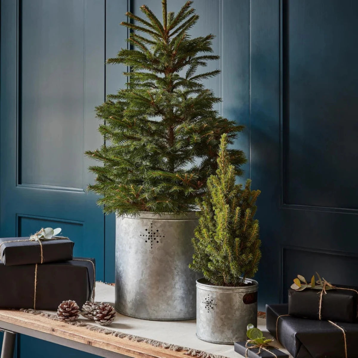 Ivyline Indoor Christmas Tree Bucket with Star in Galvanised Steel