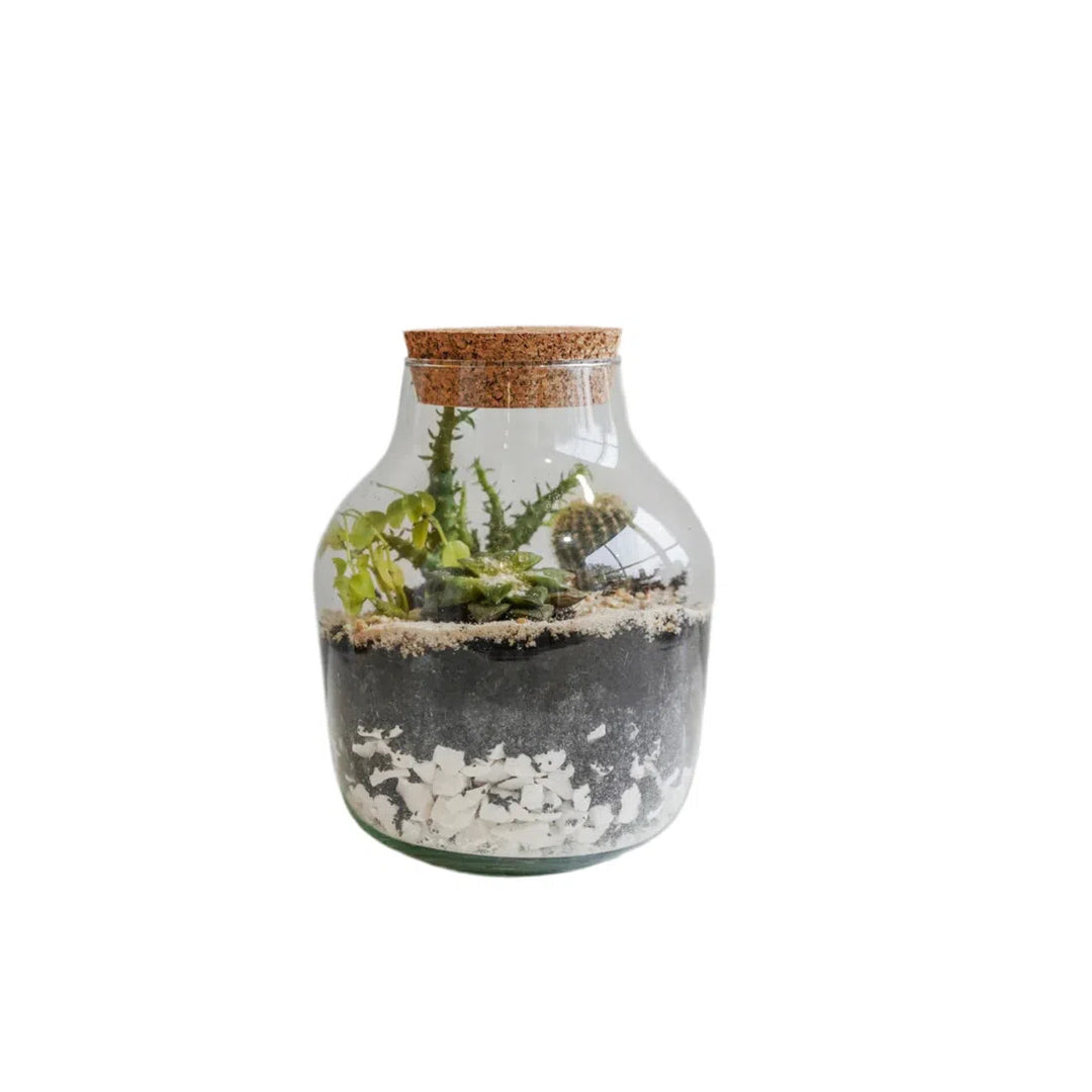 Ivyline Angular Glass Small Terrarium DIY Kit-Beaumonde