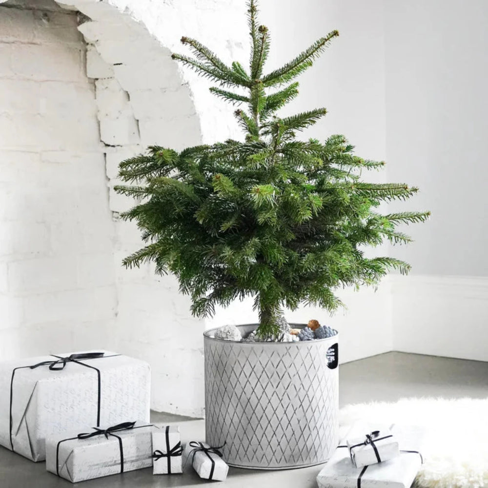 Ivyline Indoor Christmas Tree Bucket Zinc Lifetsyle