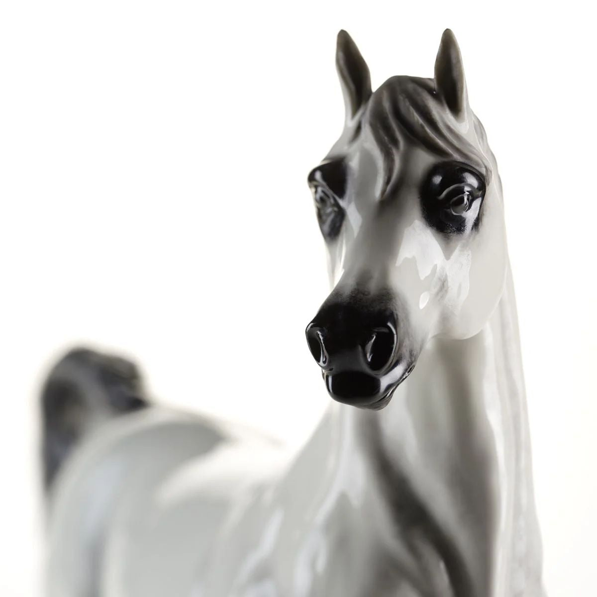 Villari Al Lahab Arab Horse Limited edition 300 pcs