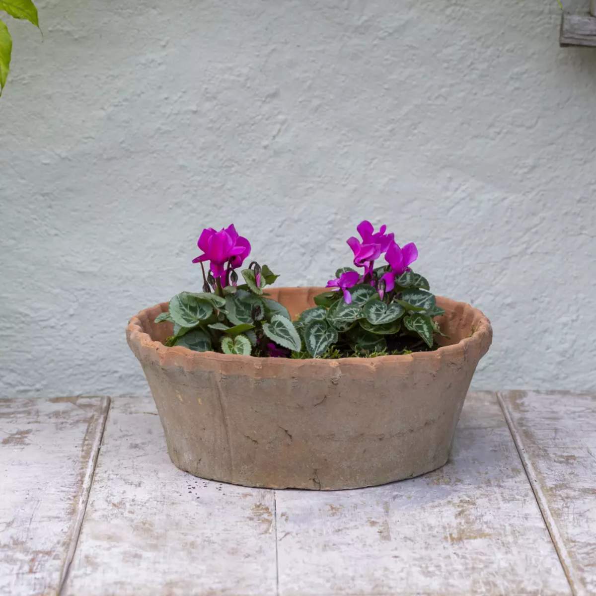 Grand Illusions Antiqued Redstone Dish Planter Frill Rim 30×10.5cm