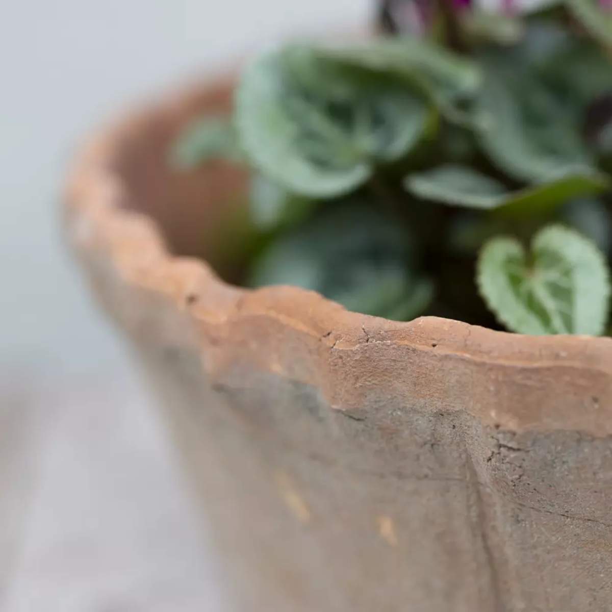 Grand Illusions Antiqued Redstone Dish Planter Frill Rim 30×10.5cm