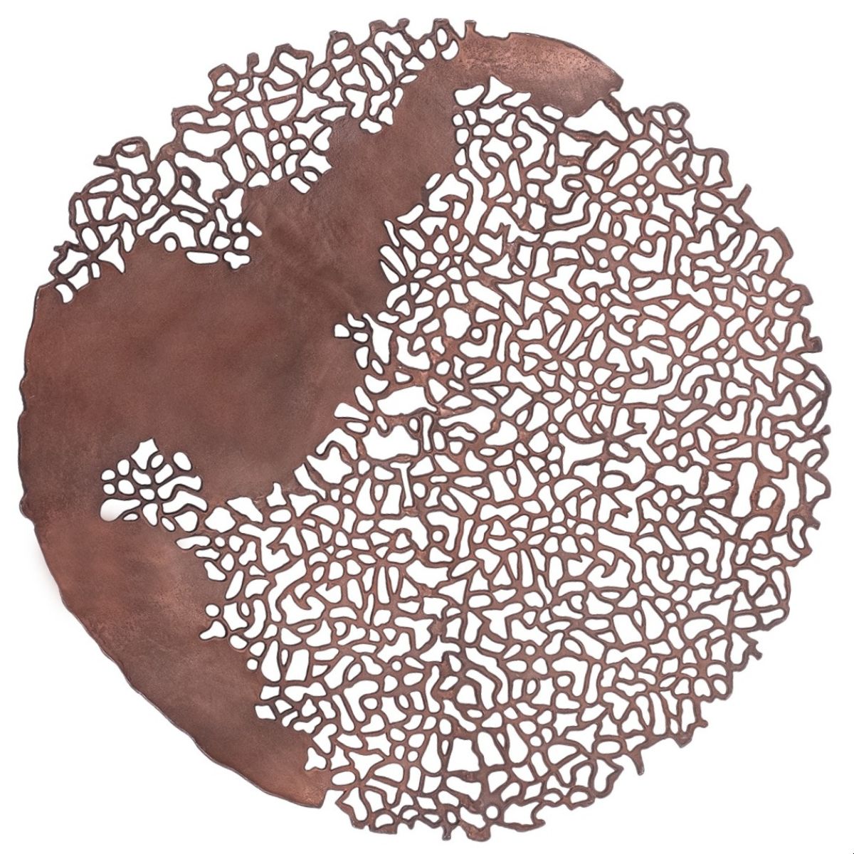 Libra Interiors Apo Coral Raw Bronze Wall Plaque