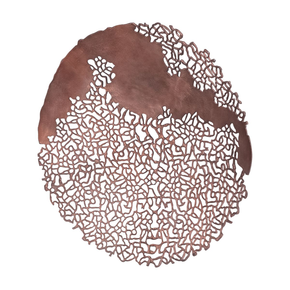 Libra Interiors Apo Coral Raw Bronze Wall Plaque