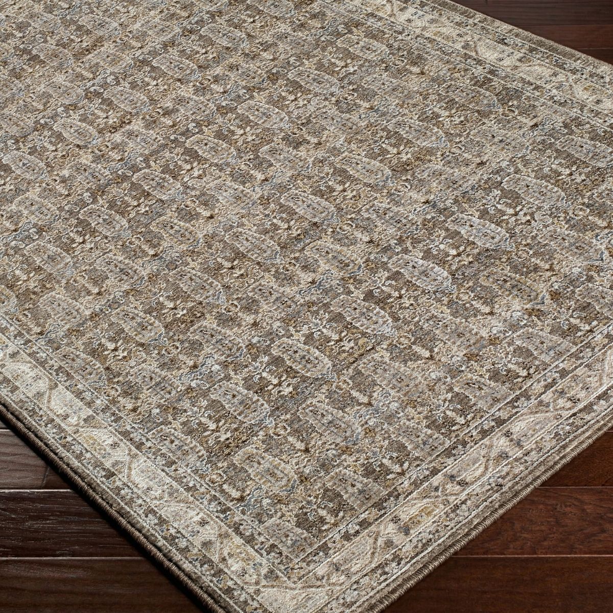 Surya Livabliss Arda Vintage Traditional Rug