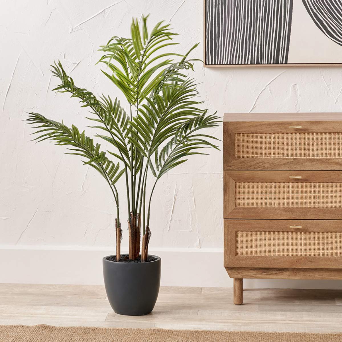 Beau&Co Areca Palm Plant in Pot