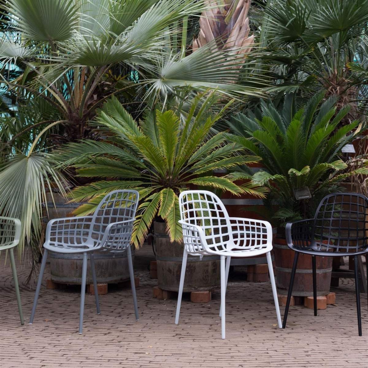 Zuiver Armchair Albert Kuip Garden