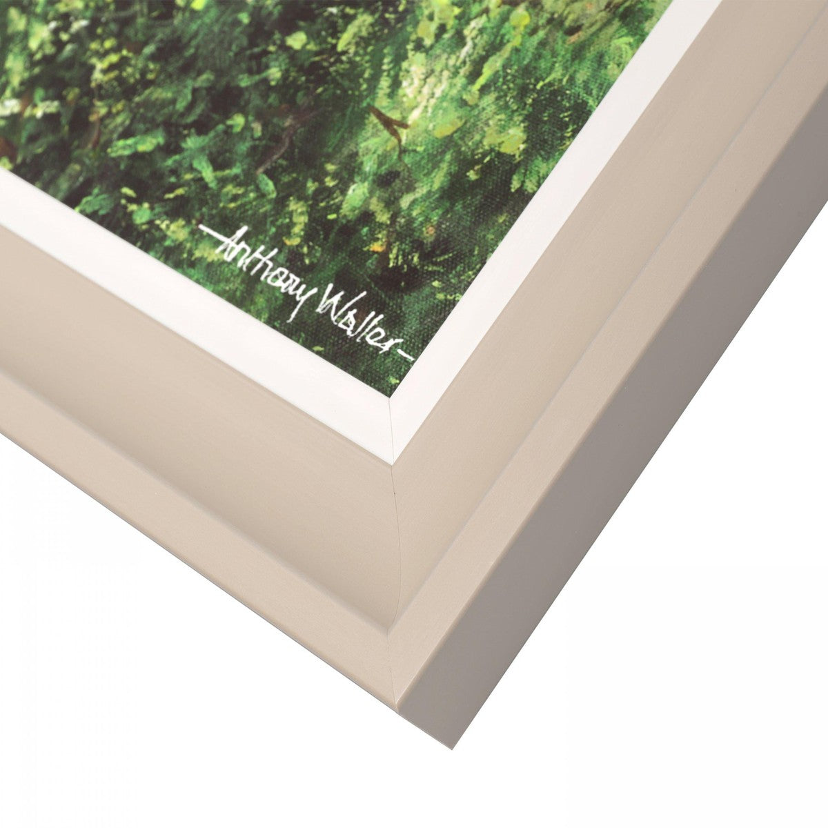Art Marketing Forest Light Picture