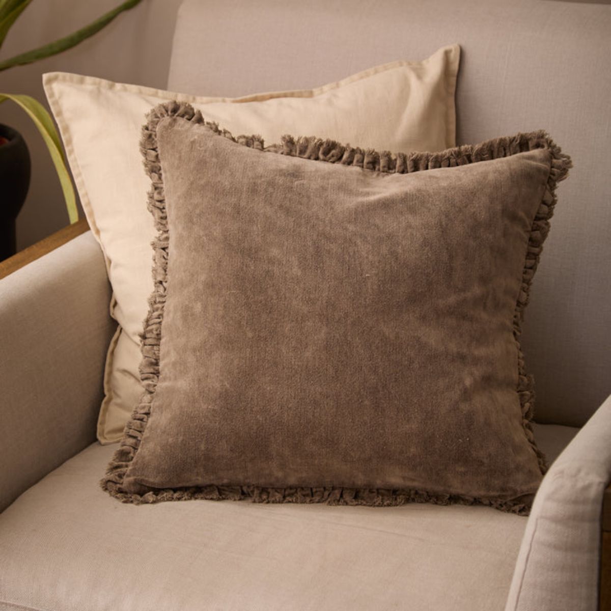 Riva Home Bertie Washed Cotton Velvet Cushion Chocolate