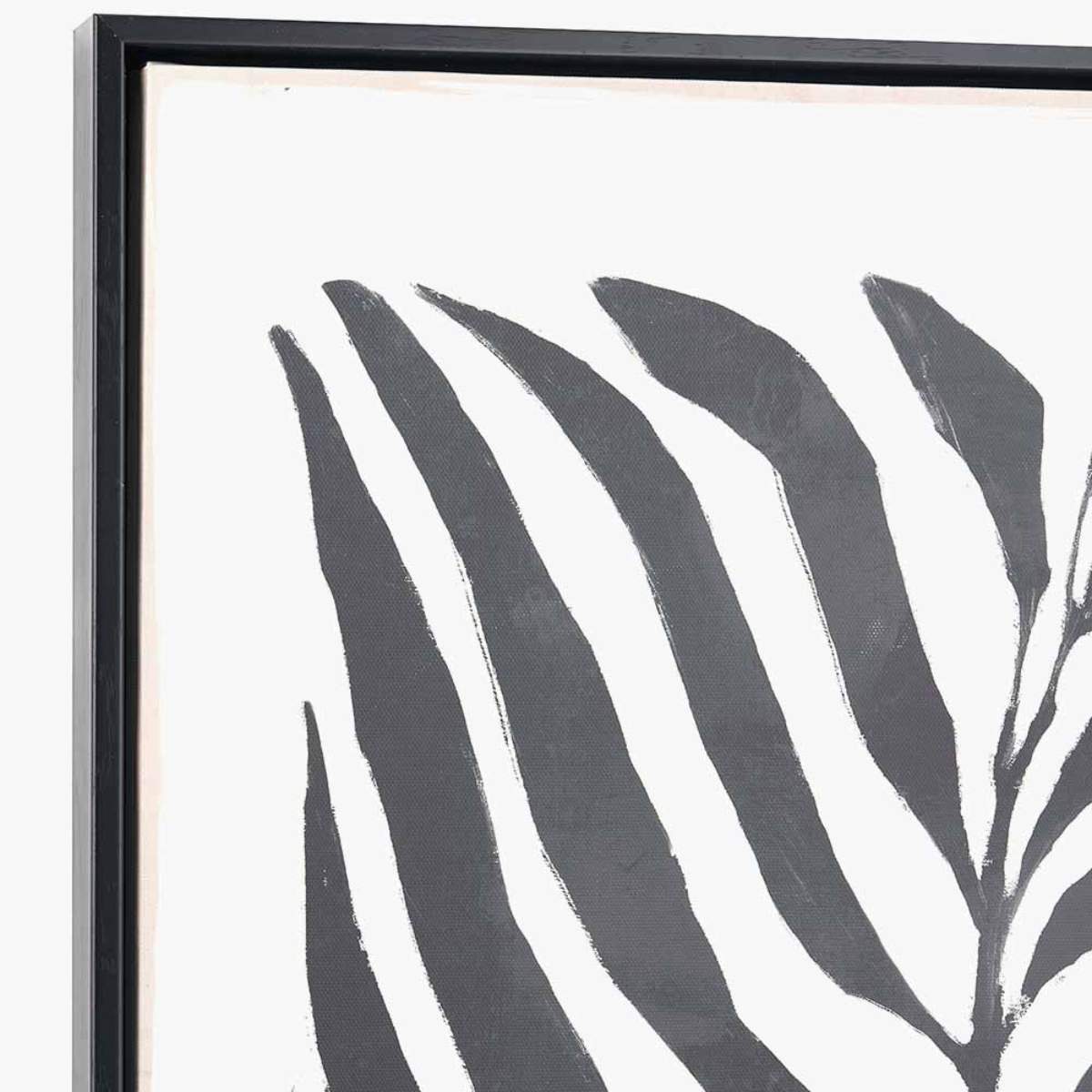 Pacific Lifestyle S/2 Black Leaf Print Canvases with Black Frames