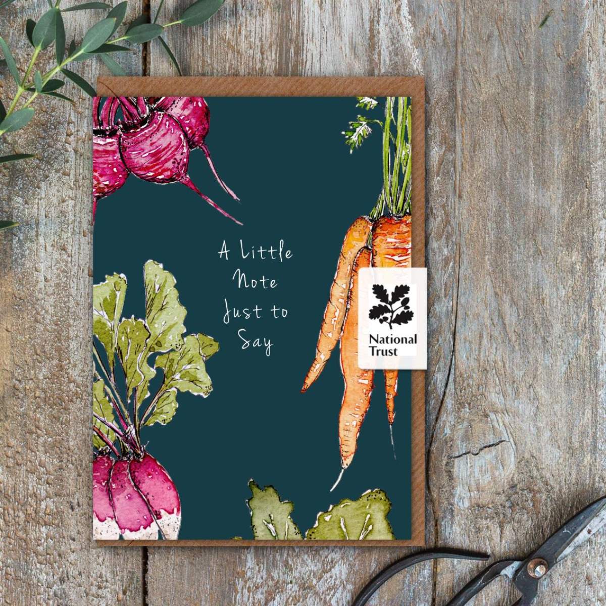 The Veg Patch Blooming Wonderful Day Garden Vegetables Card