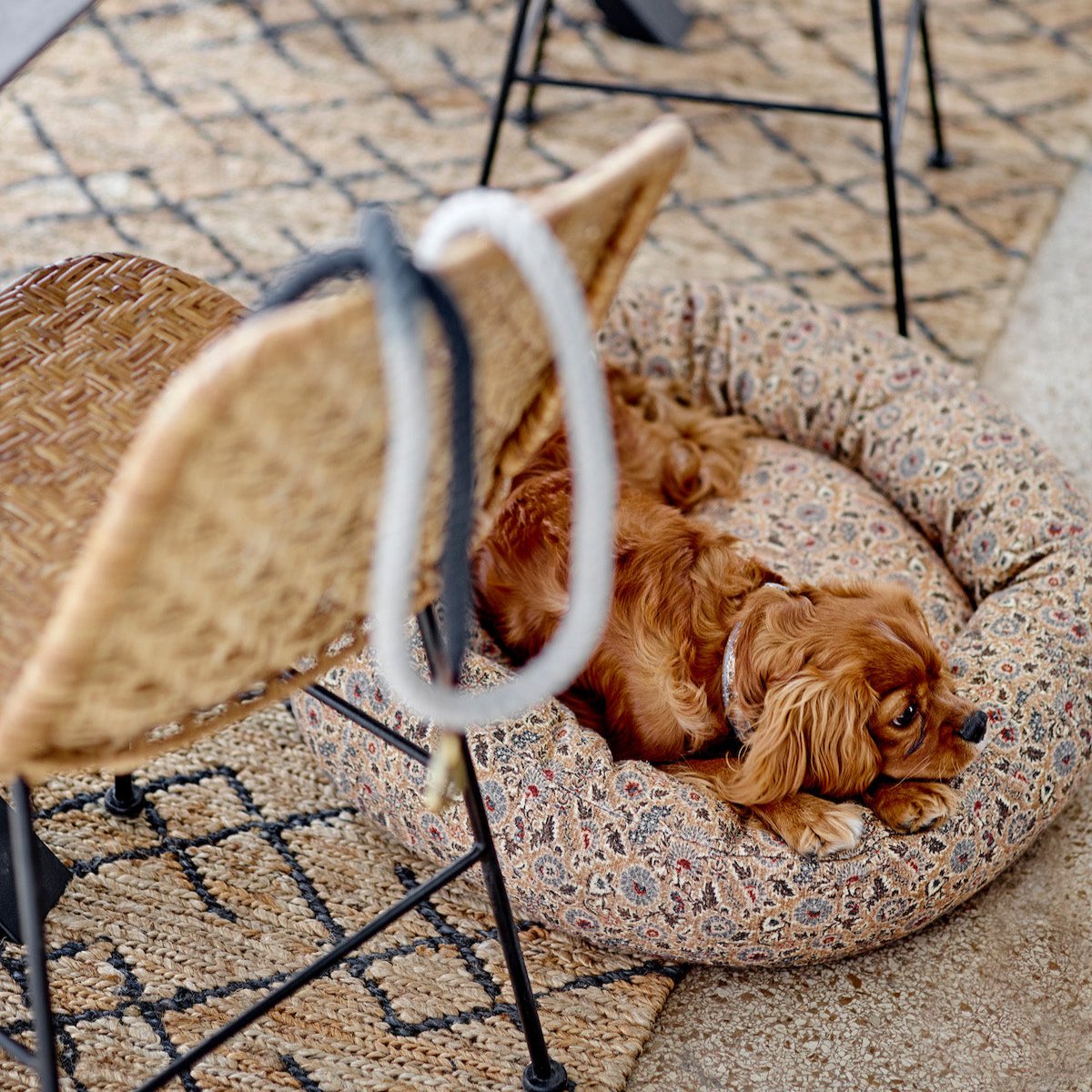  Bloomingville Kitty Rattan Dining Chair 82049269 lifestyle 2