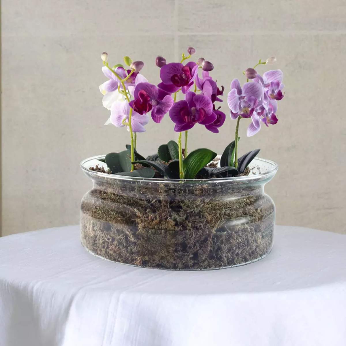 Grand Illusions Botanical Glass Planter Large