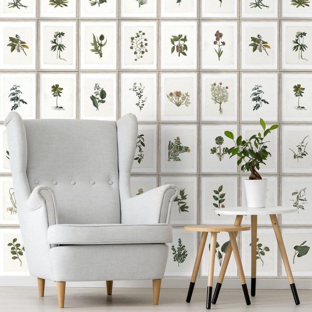Botany Wallpaper-Beaumonde