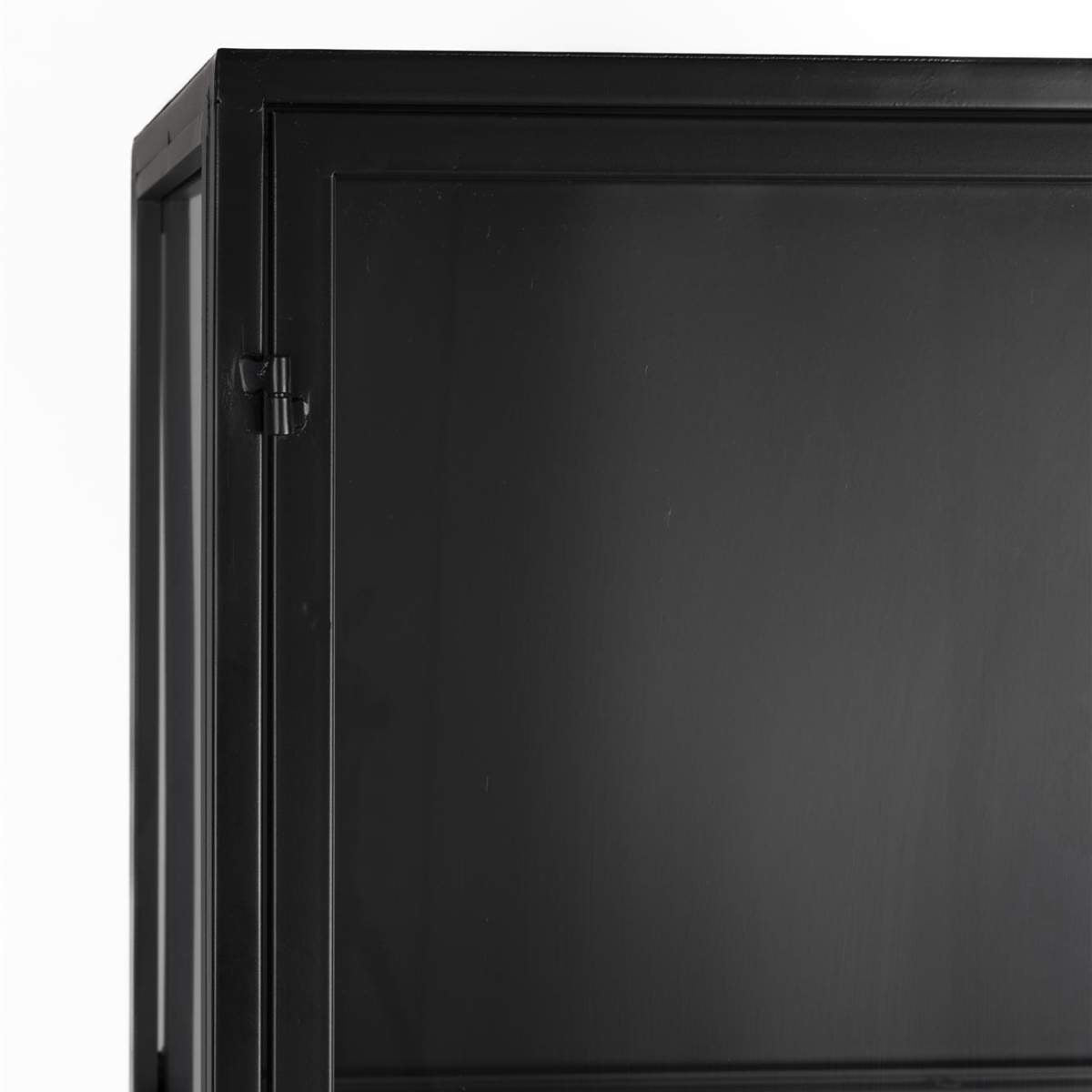 Beau&Co Cabinet Rob Large
