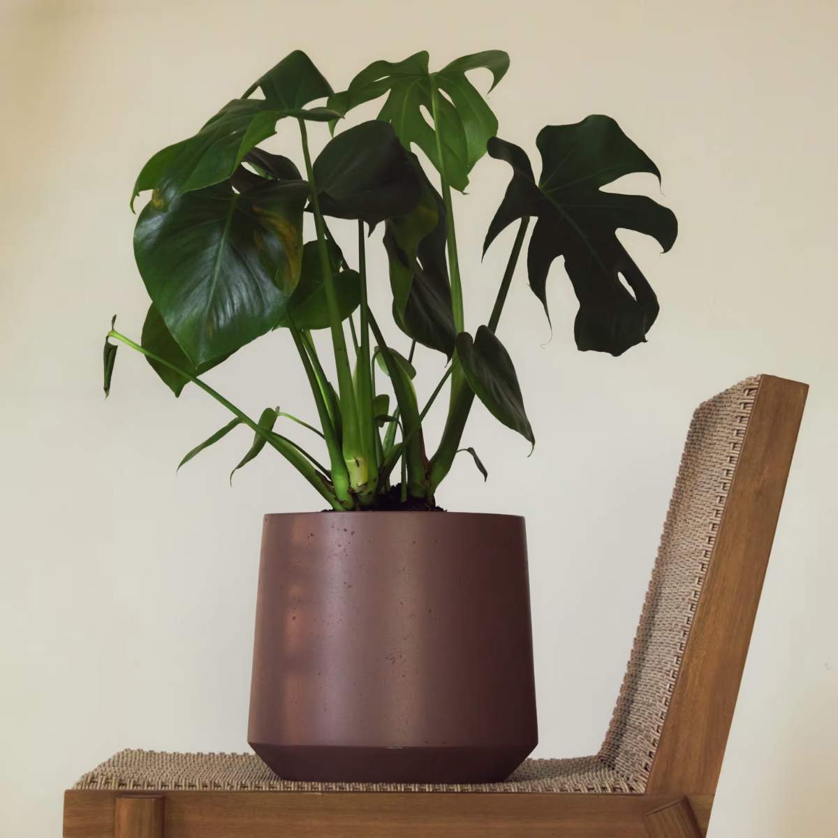 Kave Home Calun beige cement planter Ø 32cm