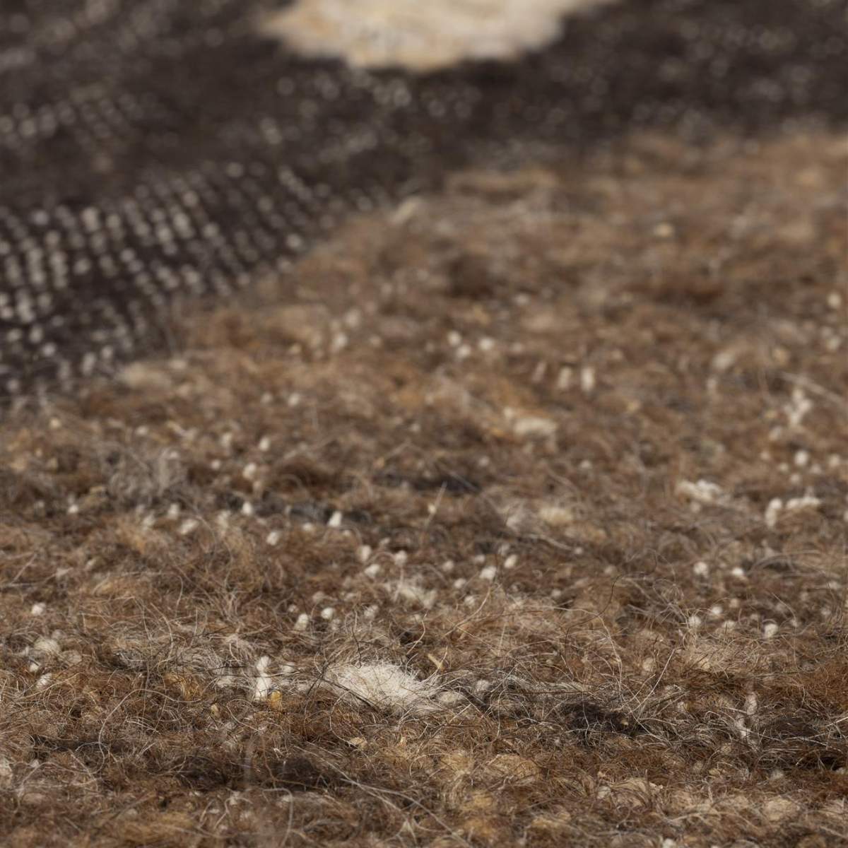 Dutch Bone Carpet Briton