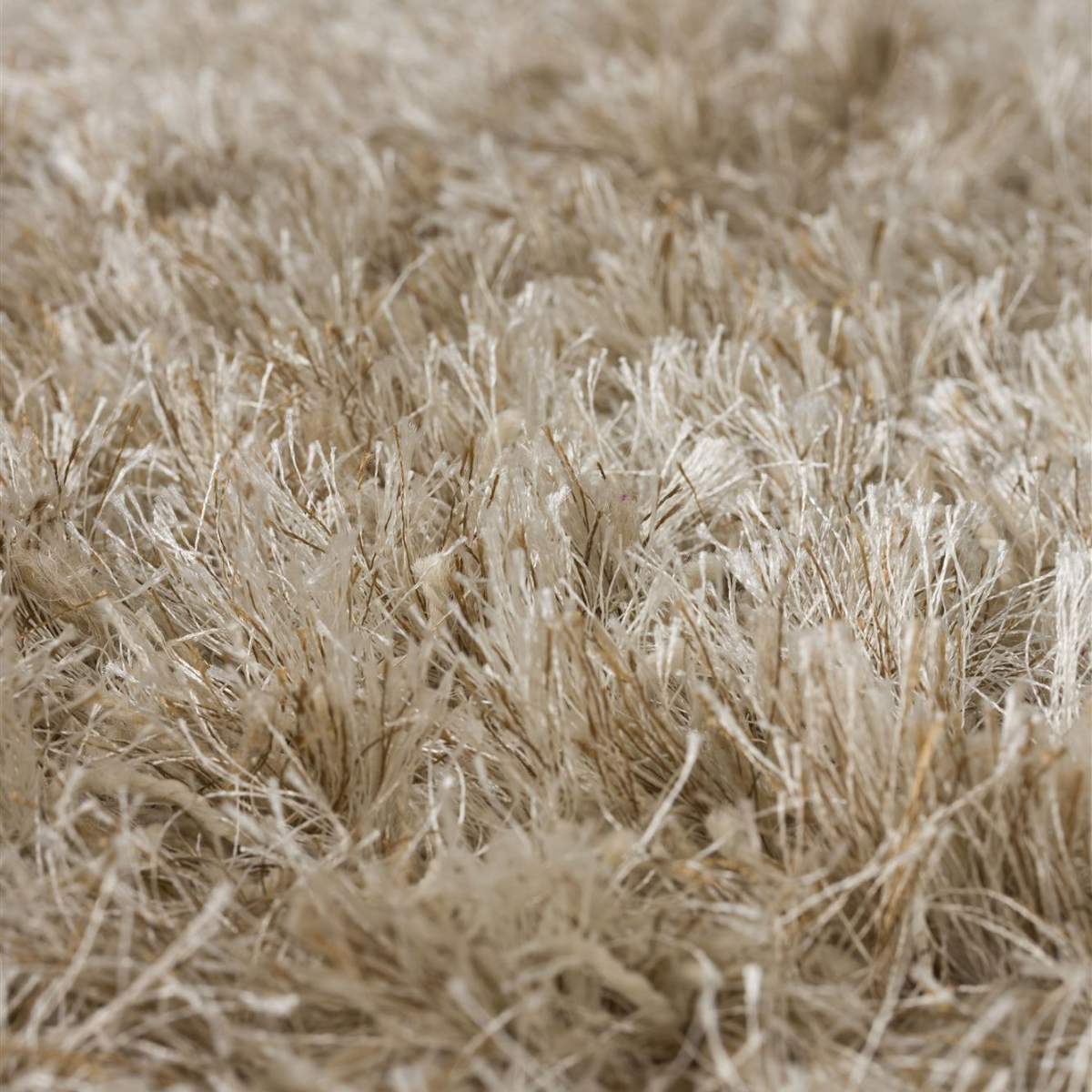 Dutch Bone Carpet Hairy