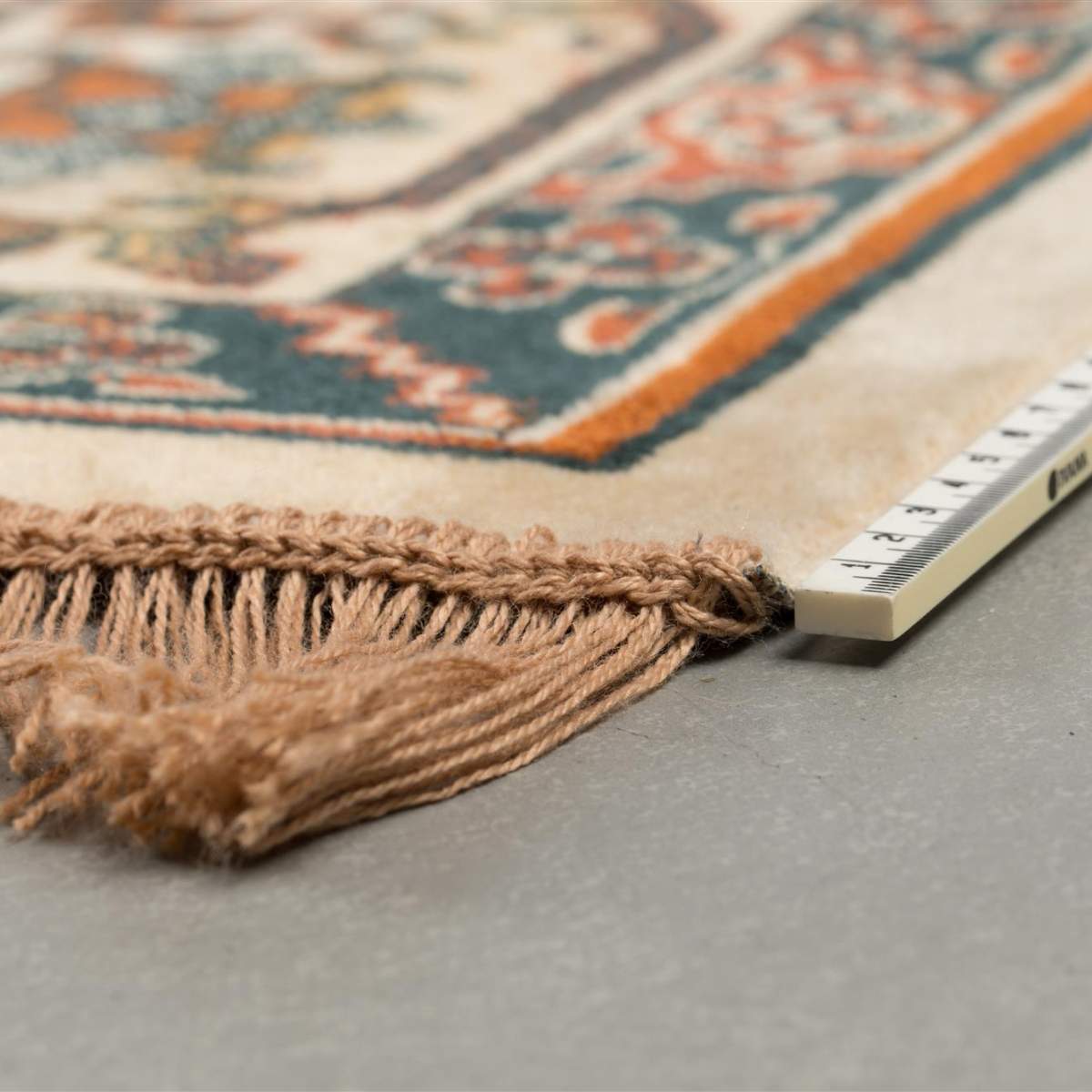 White Label Living Carpet Raz