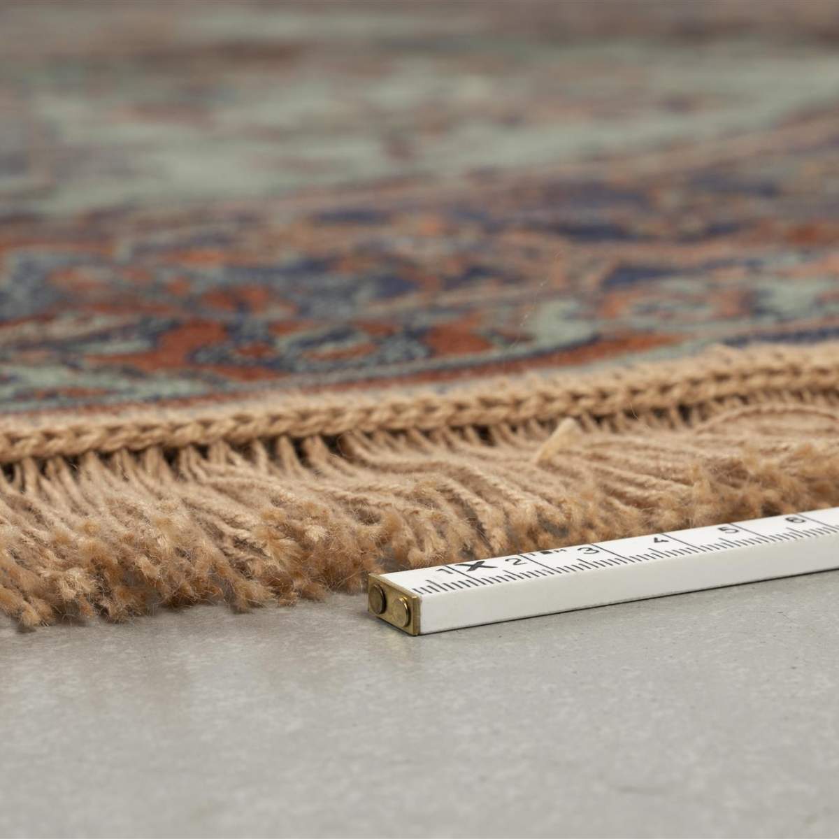 White Label Living Carpet Raz