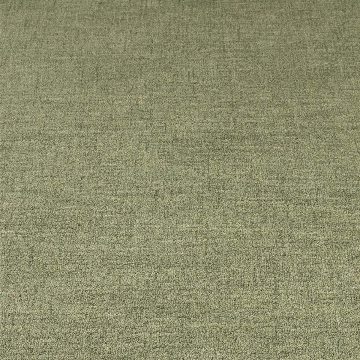 Bold Monkey Carpet Sugar Lines