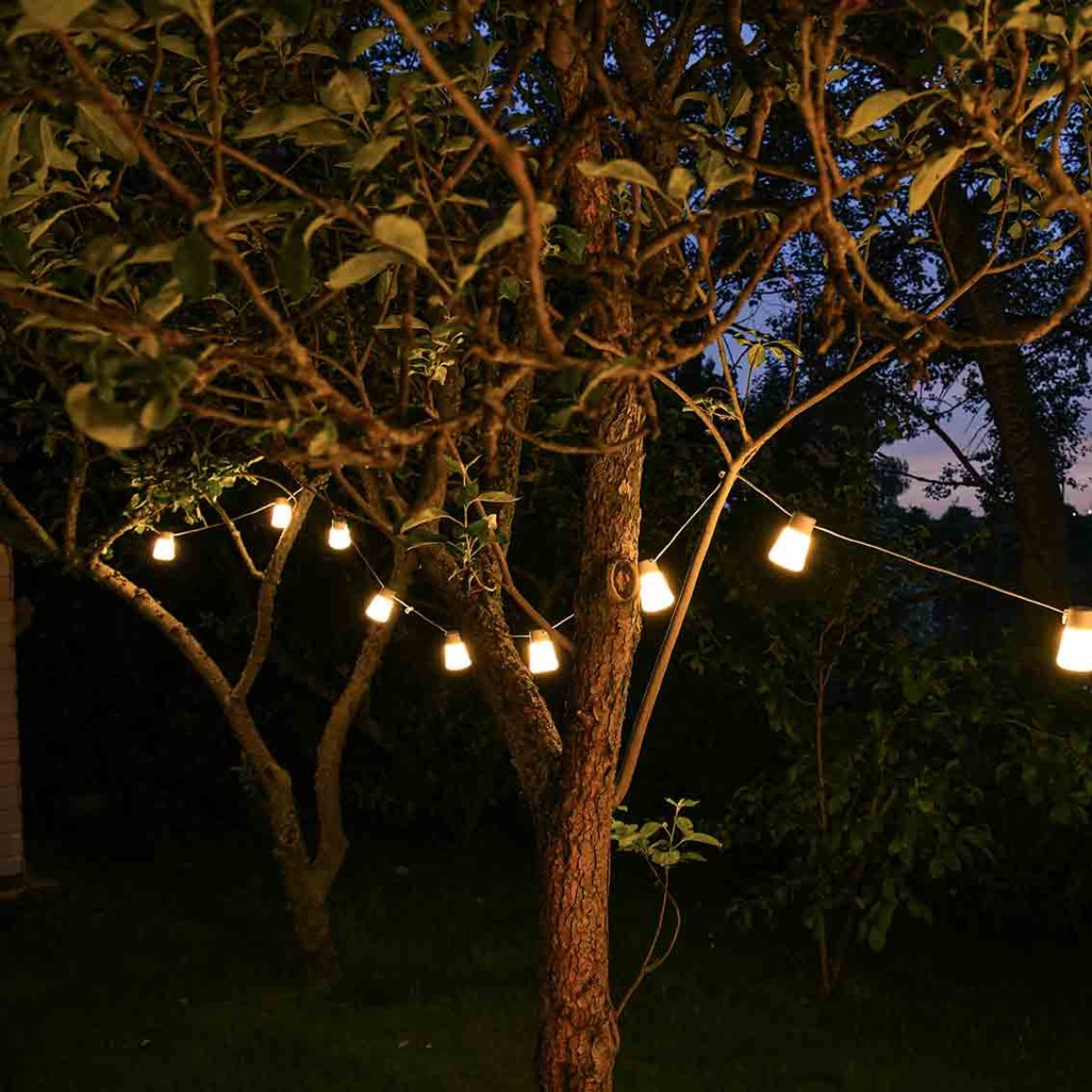 Extreme Lounging B-Bulb Connect Outdoor Festoon Lights-Beaumonde