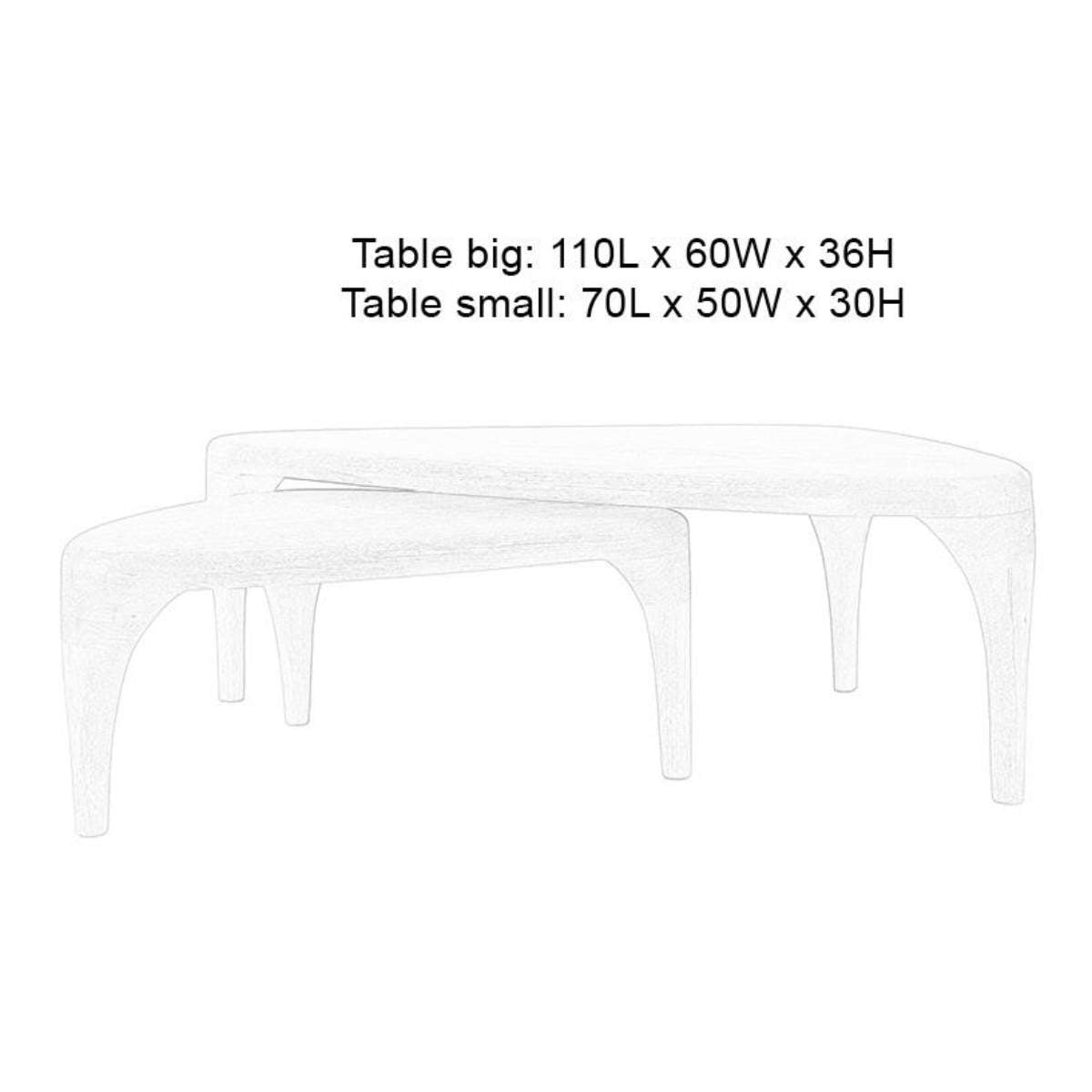 Zuiver Coffee Table Isla Set of 2
