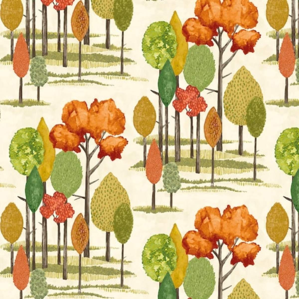 Ohpopsi Concept	Tall Trees - Autumn