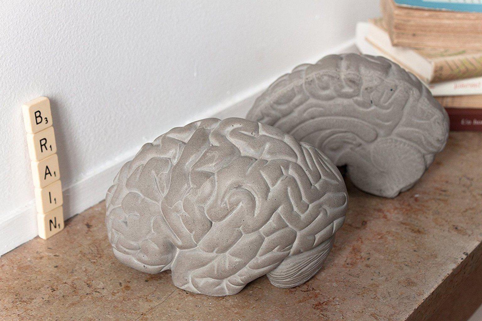 Concrete Grey Matters Brain Bookends - Lyon Beton-Beaumonde