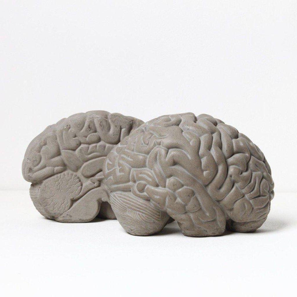 Concrete Grey Matters Brain Bookends - Lyon Beton-Beaumonde