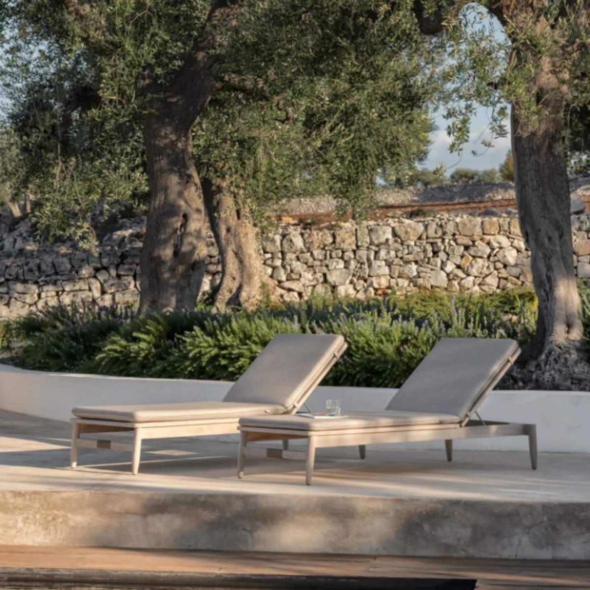 Vincent Shepherd David Sunlounger