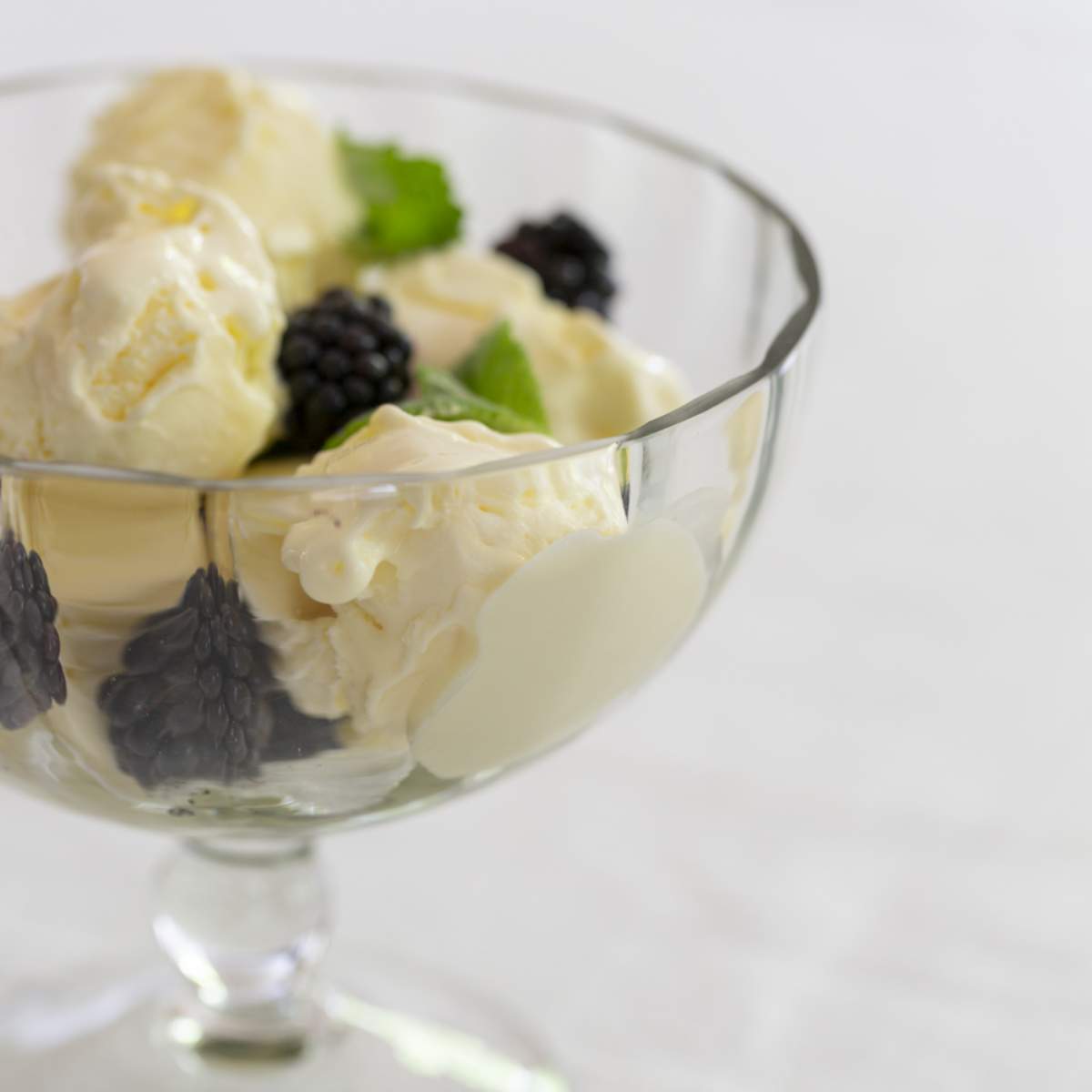 Grand Illusions Dessert Bowl Mini
