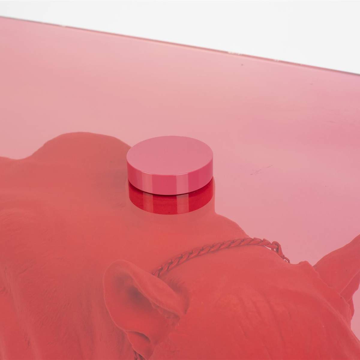 Bold Monkey Dope as Hell Coffee Table