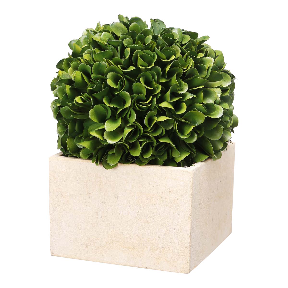 Mindy Brownes Medium Boxwood Topiary-Beaumonde