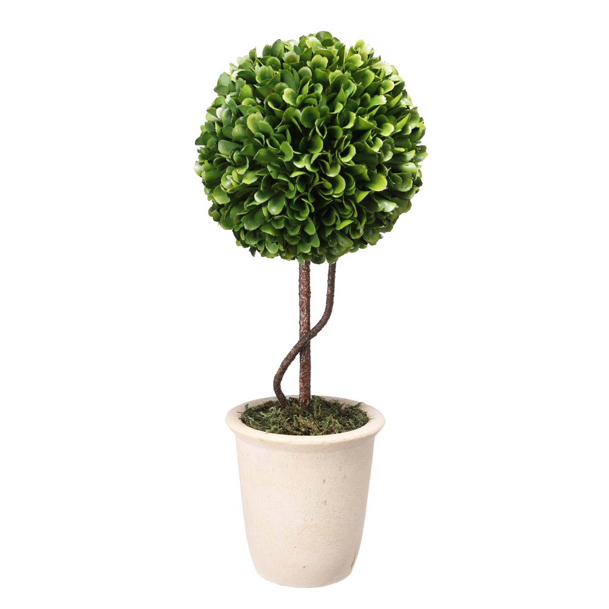Mindy Brownes Tall Boxwood Topiary-Beaumonde