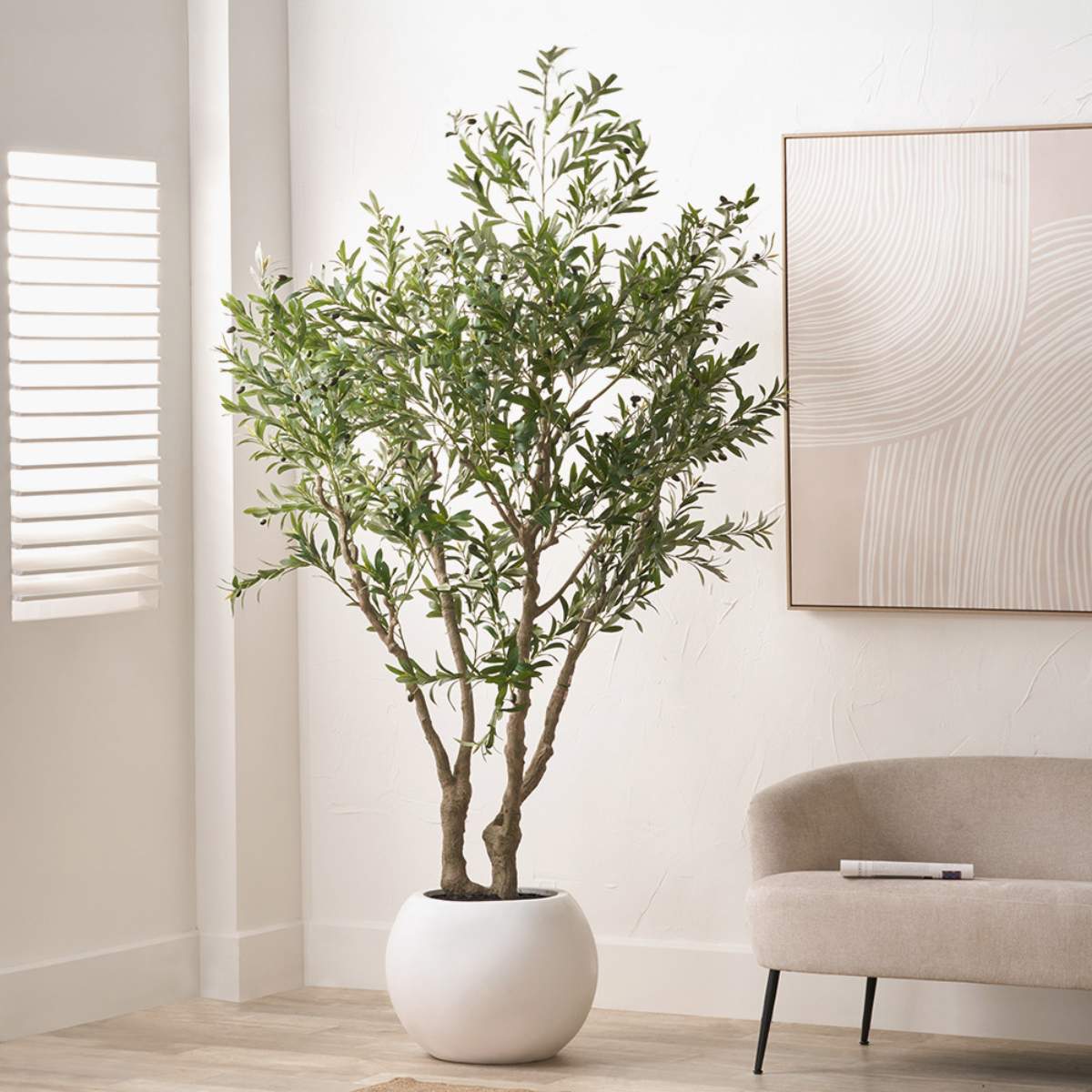 Pacific Lifestyle Extra Large Olive Tree in Pot