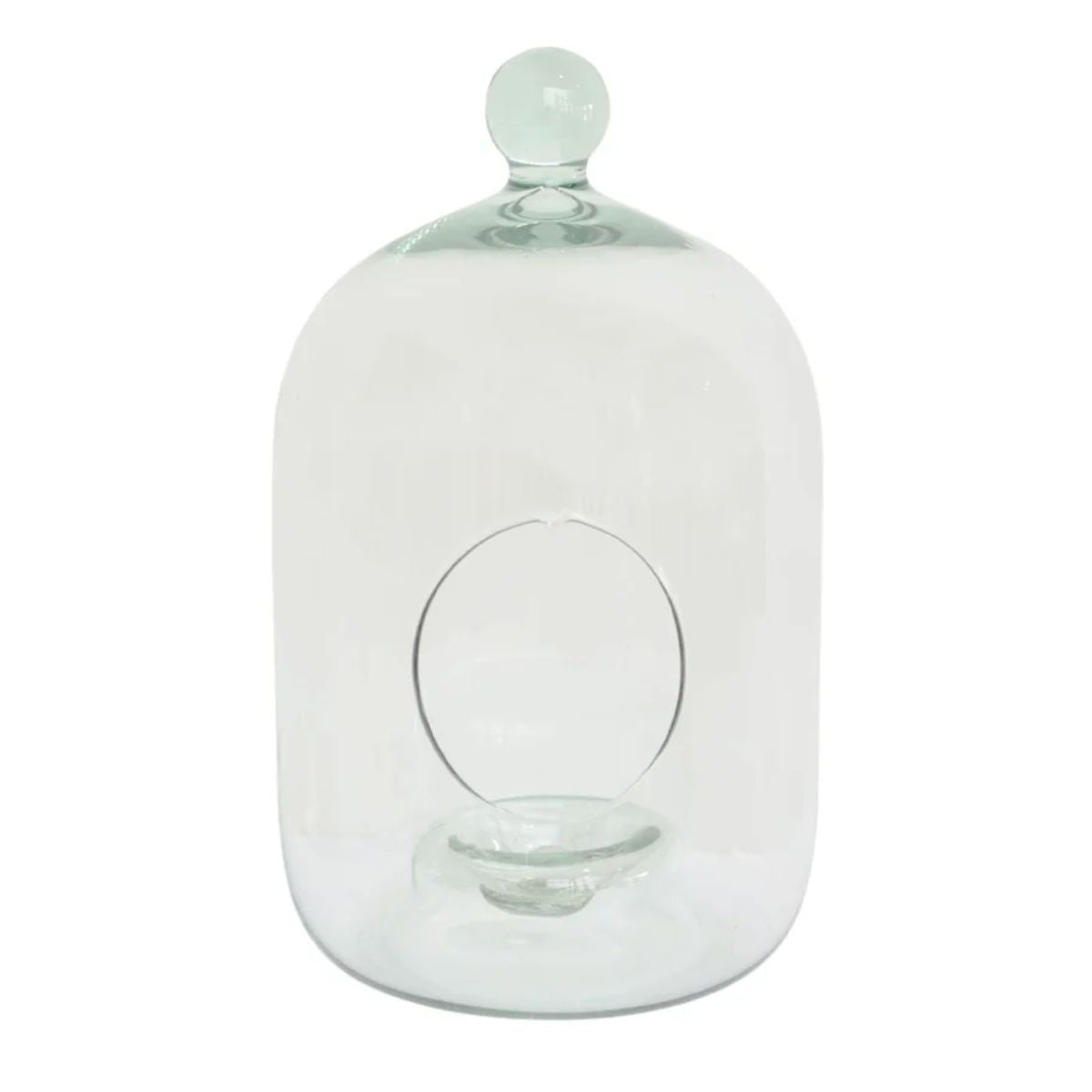 Ivyline Glass Bell Jar Open Terrarium Large H35cm D19.5cm