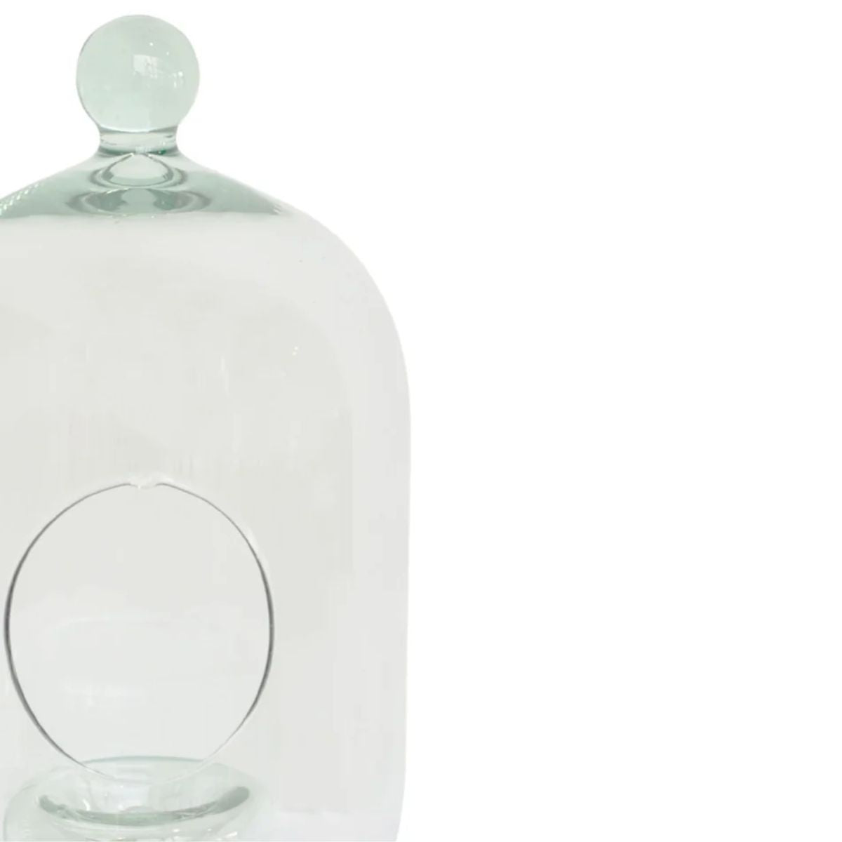 Ivyline Glass Bell Jar Open Terrarium Small H30cm D15cm