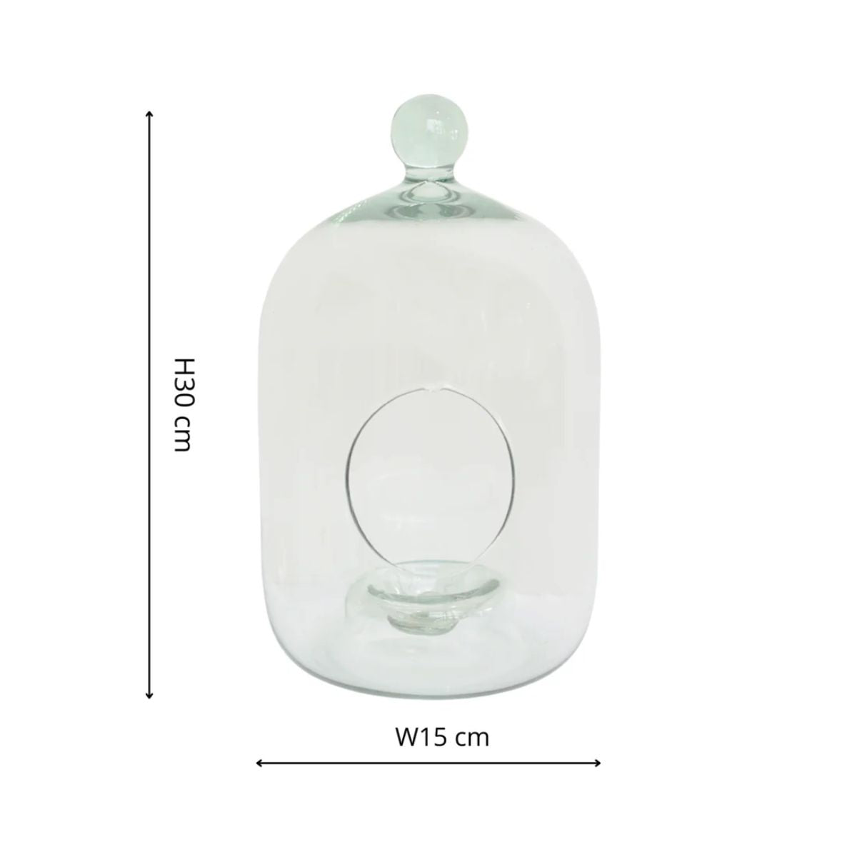 Ivyline Glass Bell Jar Open Terrarium Small H30cm D15cm