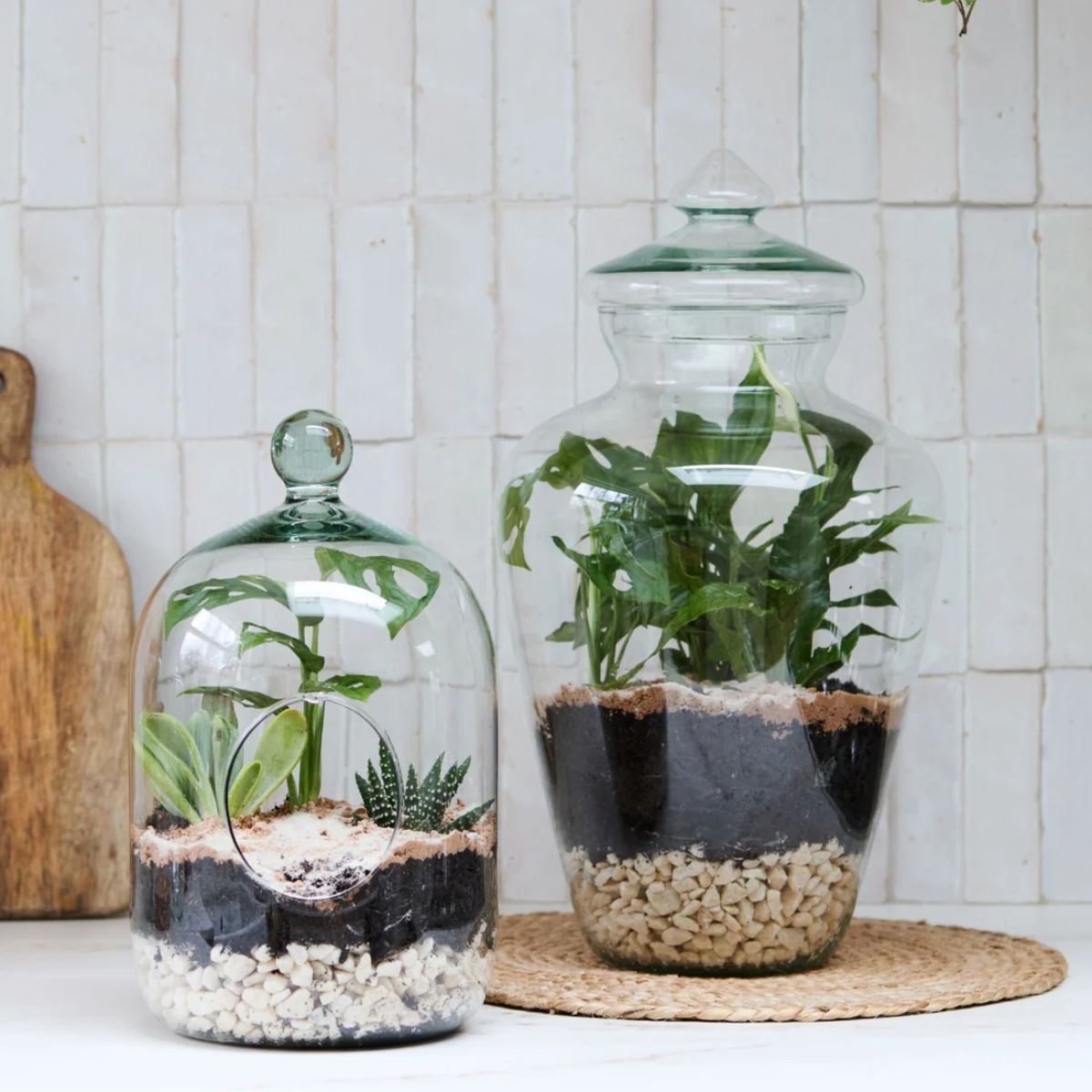 Ivyline Glass Bell Jar Open Terrarium Small H30cm D15cm