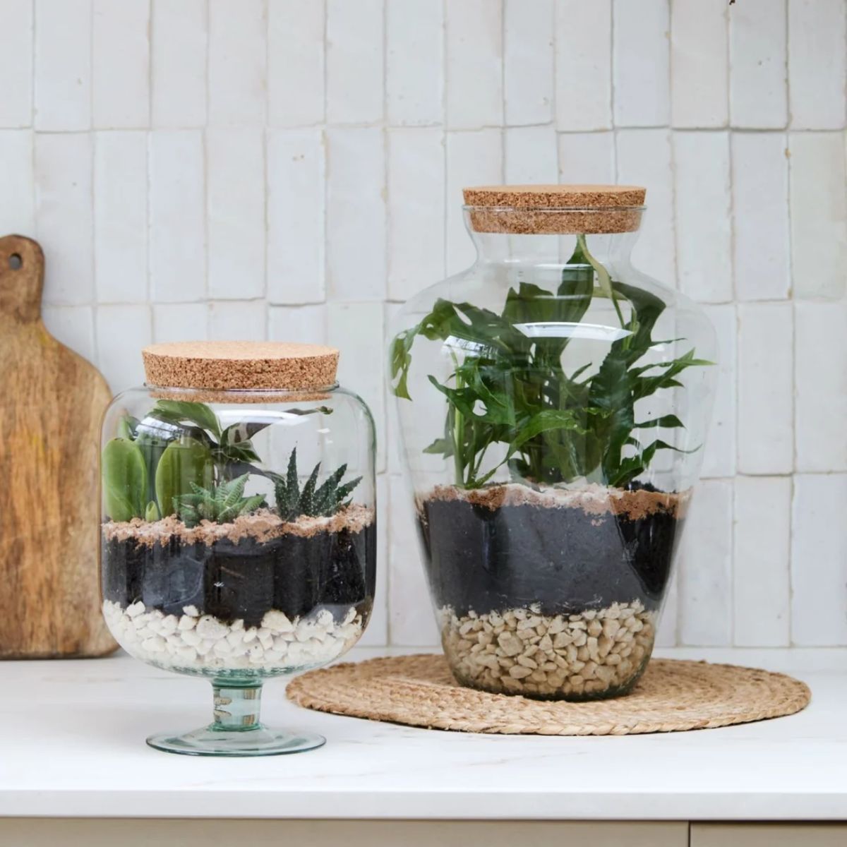 Ivyline Glass Footed Cork Lid Terrarium H33cm D23cm
