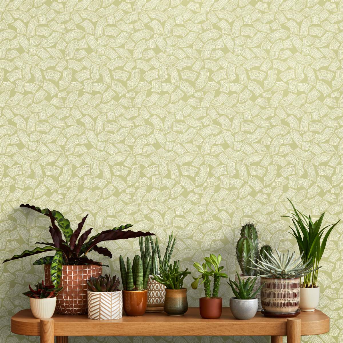 Ohpopsi Glasshouse Elements - Fennel