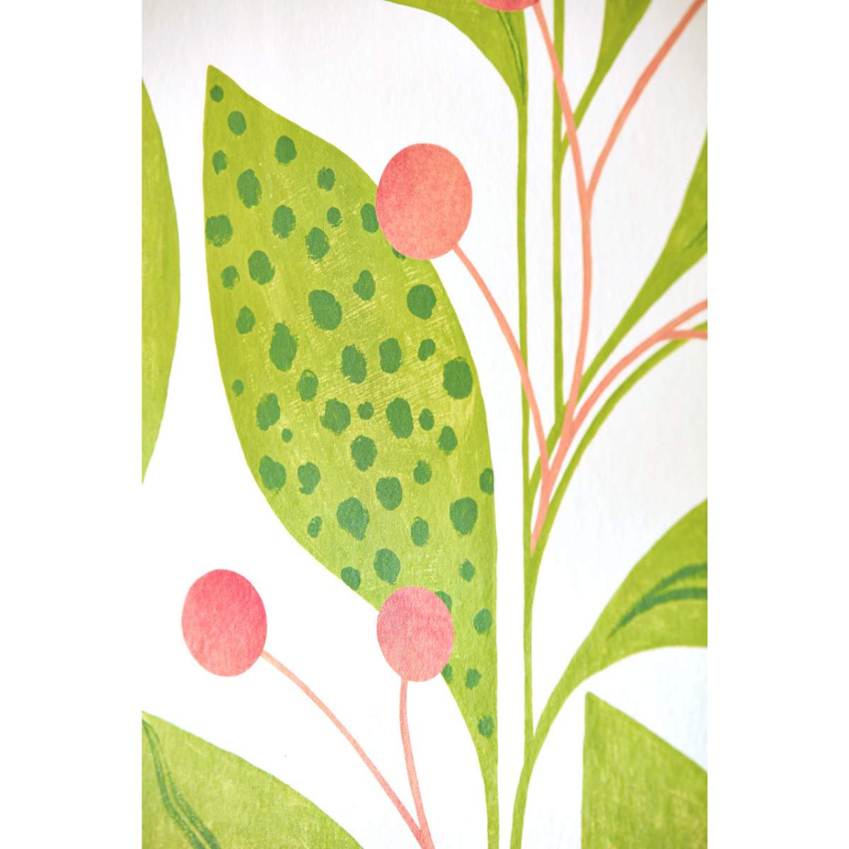 Ohpopsi Grafik Berry Dot - Pear & Peach