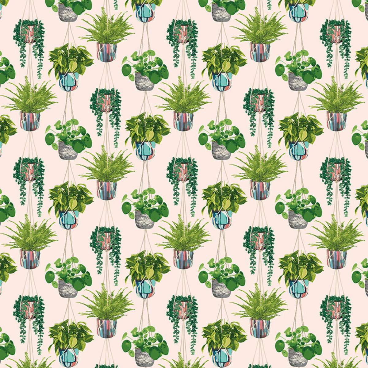 Ohpopsi Grafik Houseplant	- Ballet Slipper