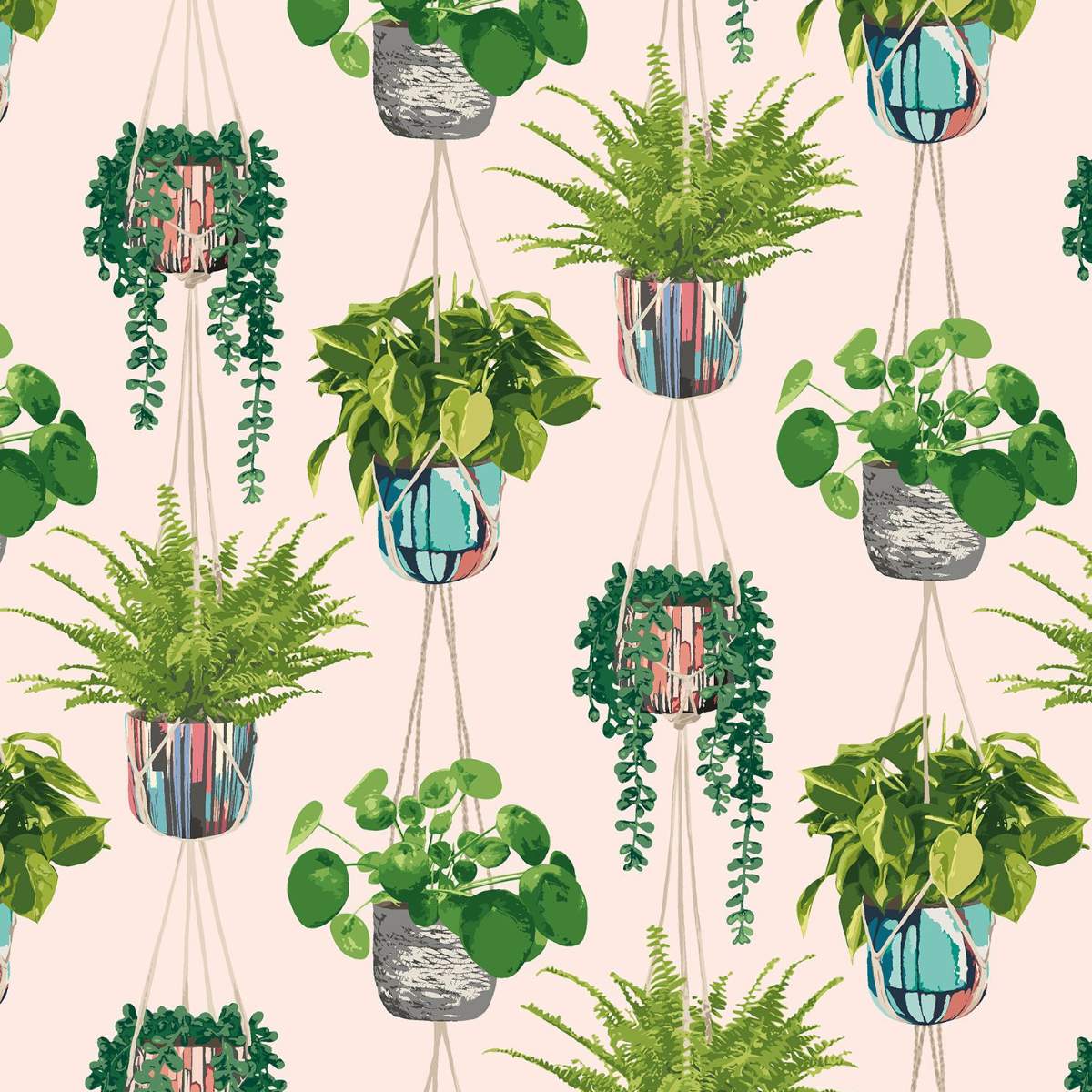 Ohpopsi Grafik Houseplant	- Ballet Slipper
