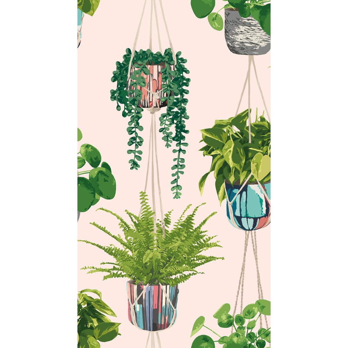 Ohpopsi Grafik Houseplant	- Ballet Slipper